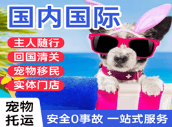 尧都机场空运国际宠物托运 【国